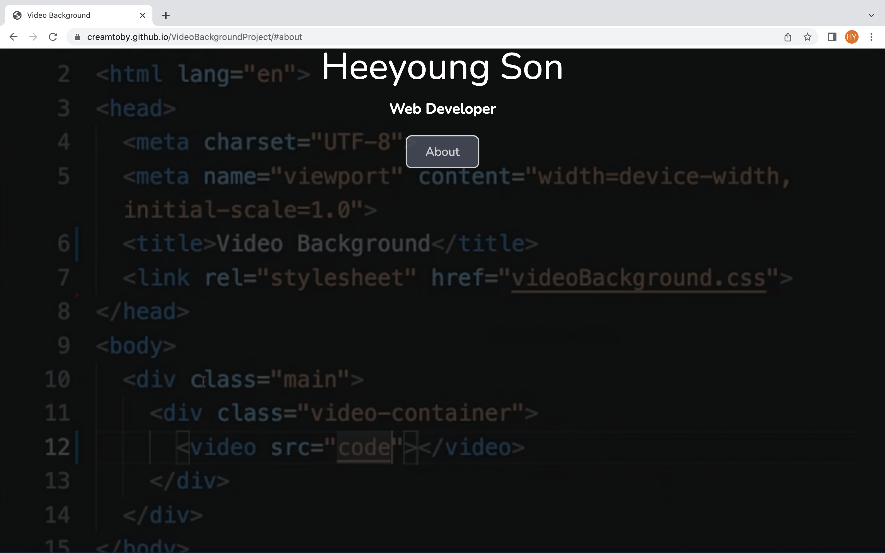 videoBackgroundProject