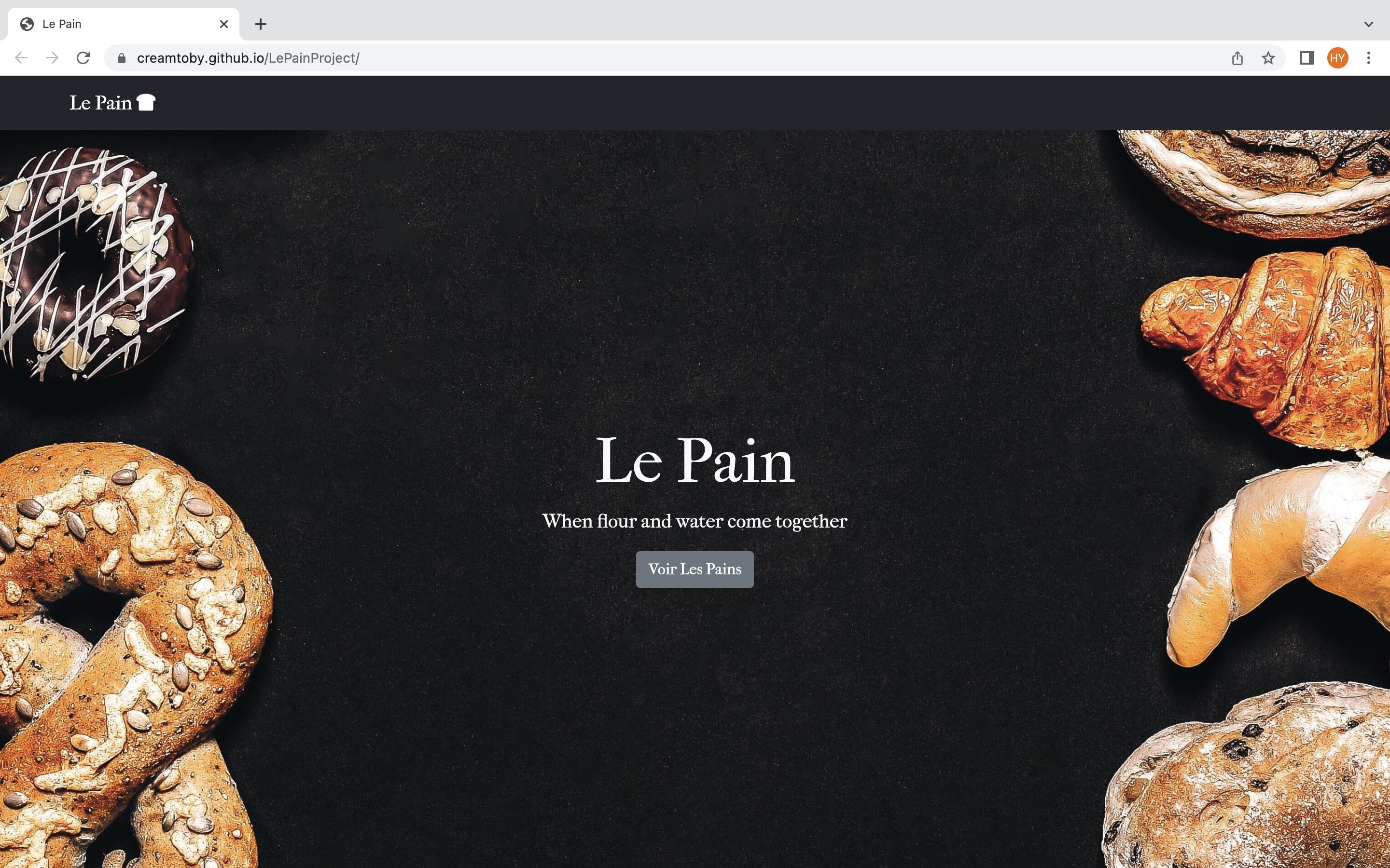 lePainProject